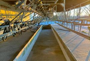 Cow Milking Shed after floor refurbishment NZ Grinders Tauranga