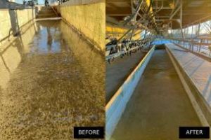 Cow milking Shed floor repair Waikato before and after photos