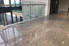 nzgrinders-polished-concrete-tauranga